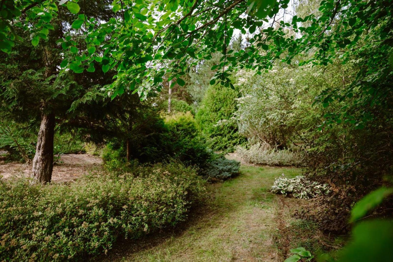 Zielona Parcela Pisz Exterior foto